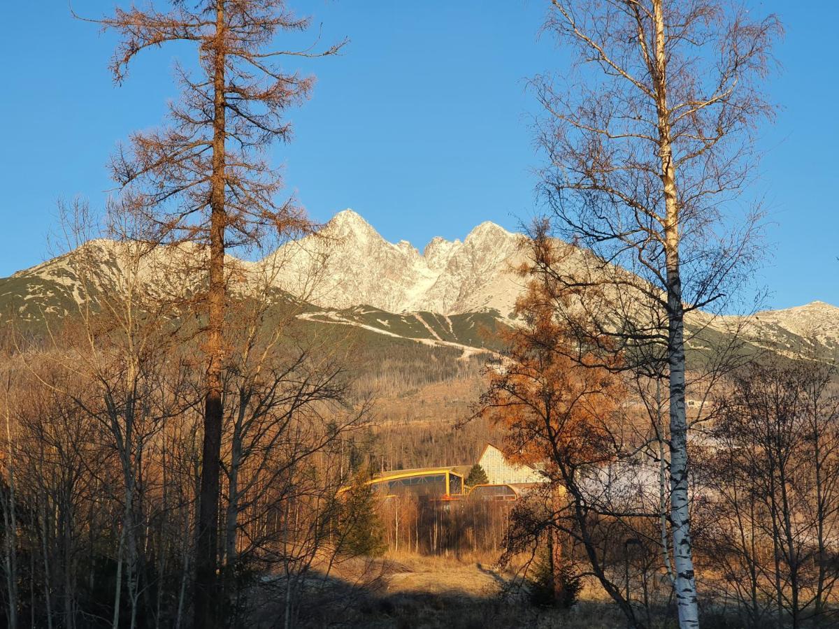 Apartman Kukucka Mountain View タトランスカ・ ロムニツァ エクステリア 写真