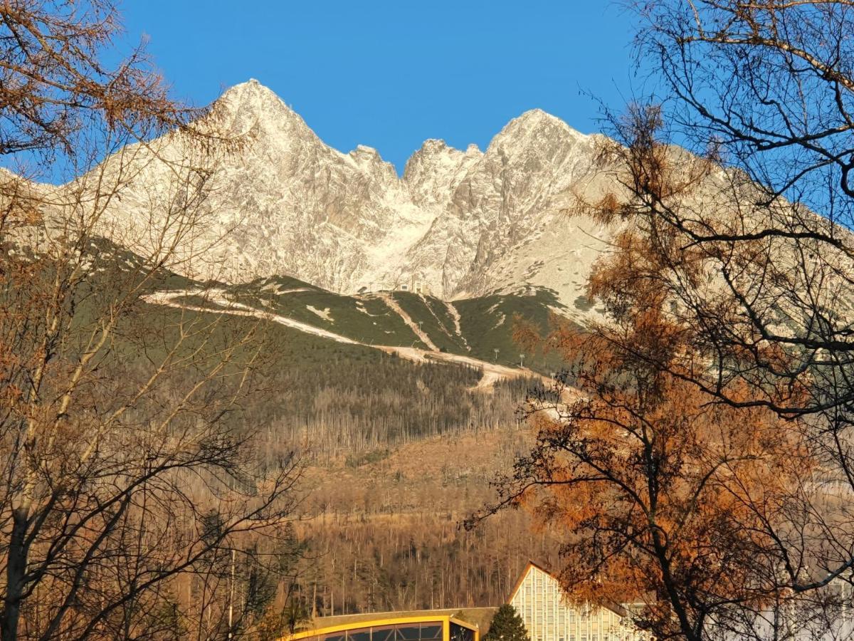 Apartman Kukucka Mountain View タトランスカ・ ロムニツァ エクステリア 写真